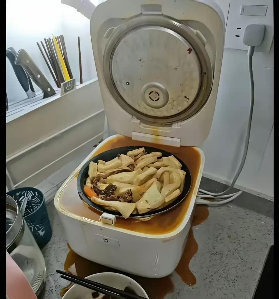 这电饭锅怕是不能再煮饭了吧！