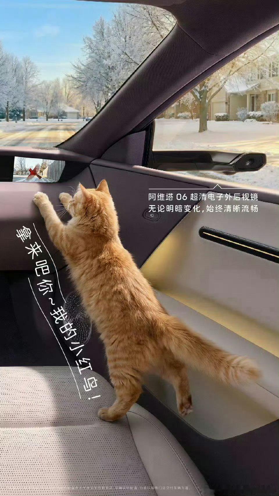 连小猫咪都被阿维塔06的超清电子外后视镜吸引啦！无论明暗变化，画面始终清晰流畅，