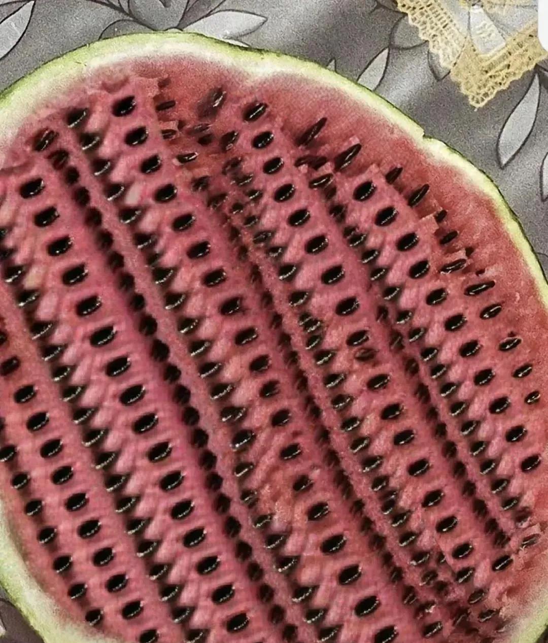 这个西瓜如何
