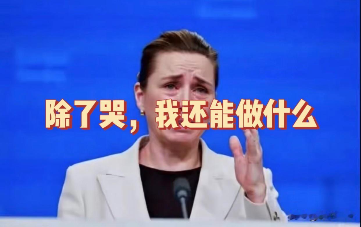 真是讽刺至极！舔狗舔到最后一无所有！骂遍中俄，结果转头一看，自家的“后院”格