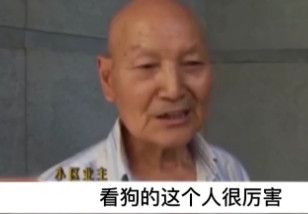 “咬你怎么了？打针疫苗就好啦！”2022年南京一名4岁女童在公园玩耍时，被三只没