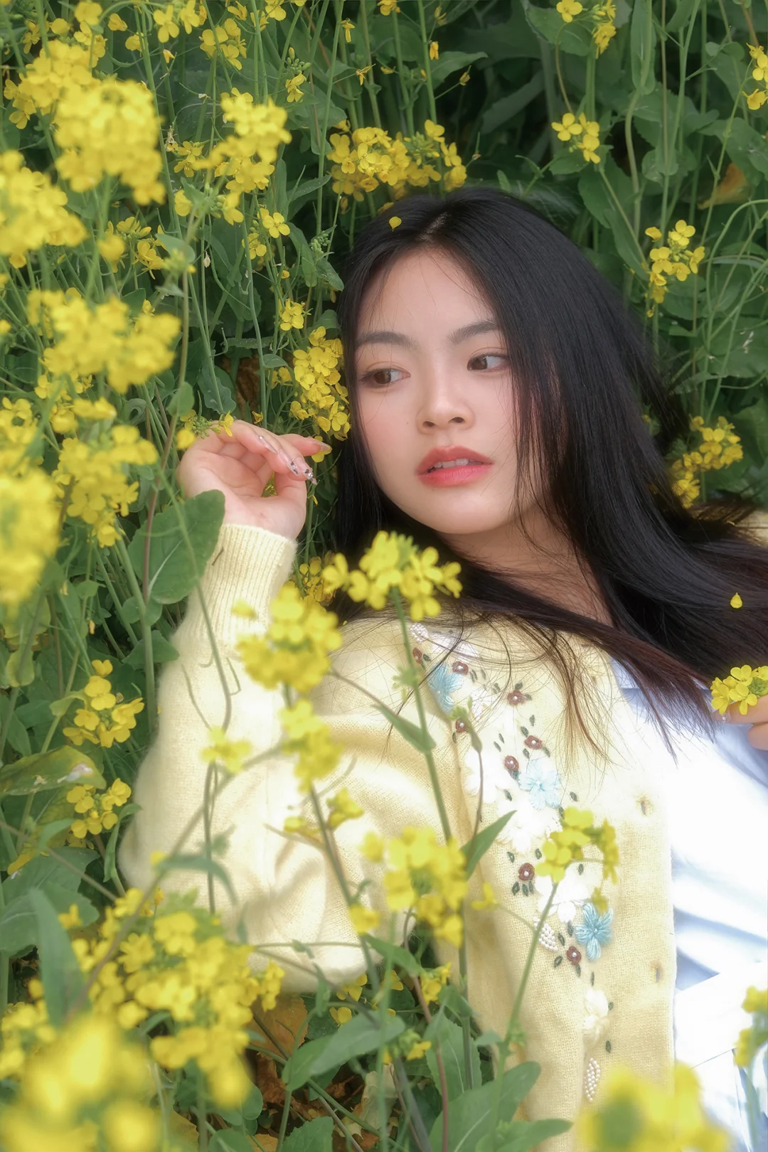 富士相机阴天也可以拍出清透感🌼（附参数）