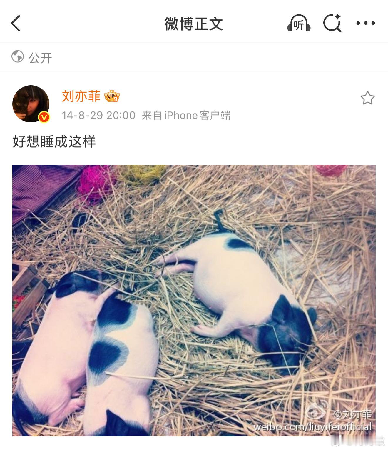 抽象鼻祖哈哈哈哈啊哈啊哈哈​​​
