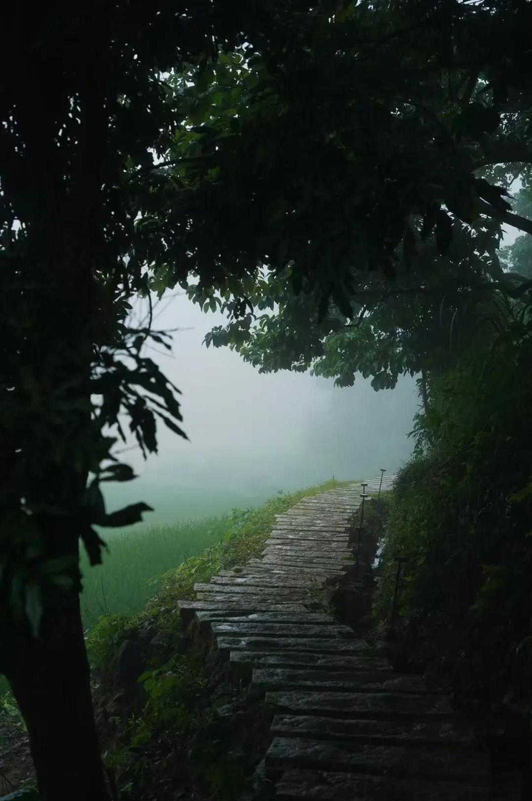 今天说个非常扎心的问题，真心想请教各位，你们认为存钱重要，还是享受生活重要？我