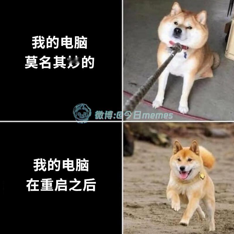 好勒好嘞（9gag）今日meme今日memes