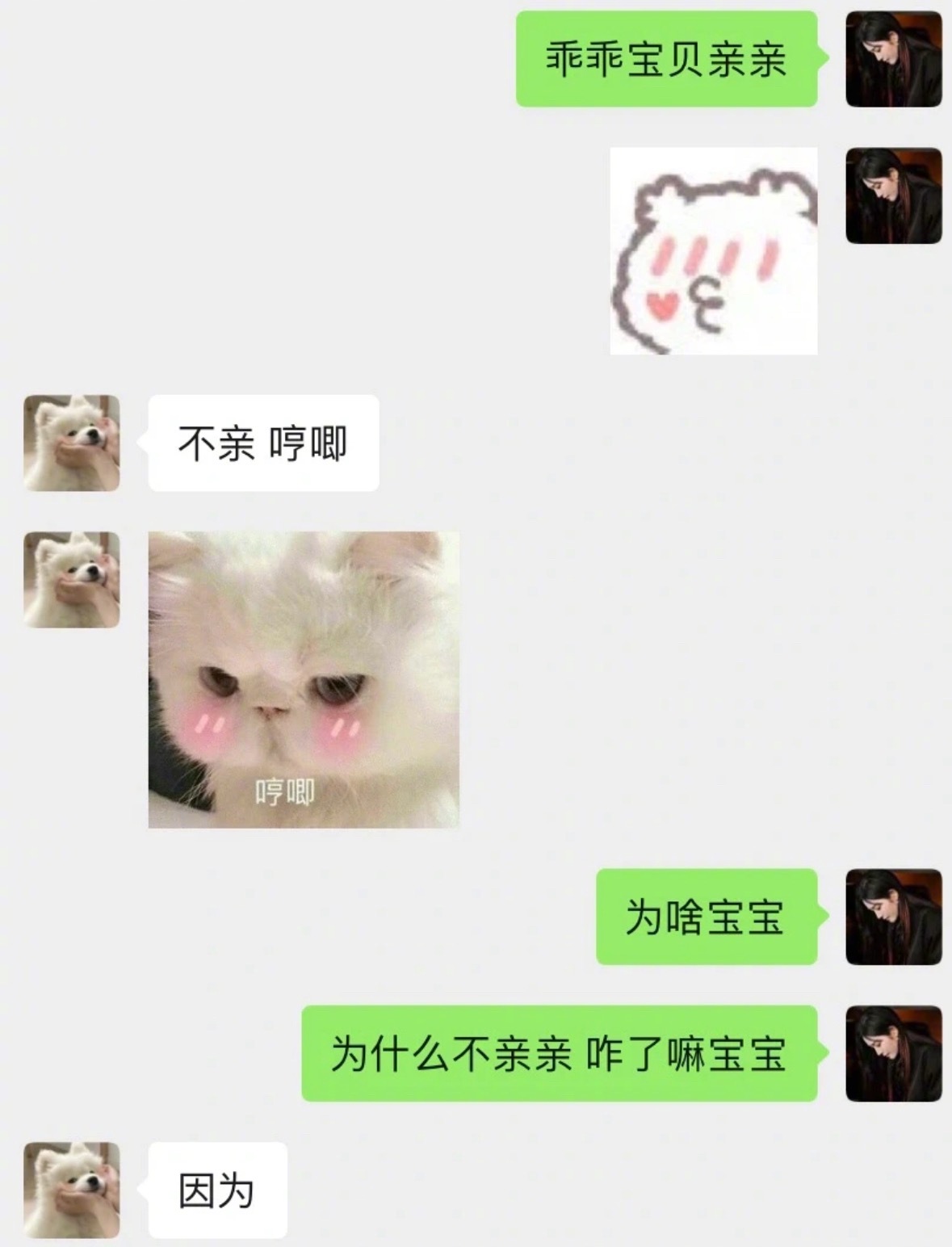 小狗在生气和窝囊中选择了生窝囊气​​​