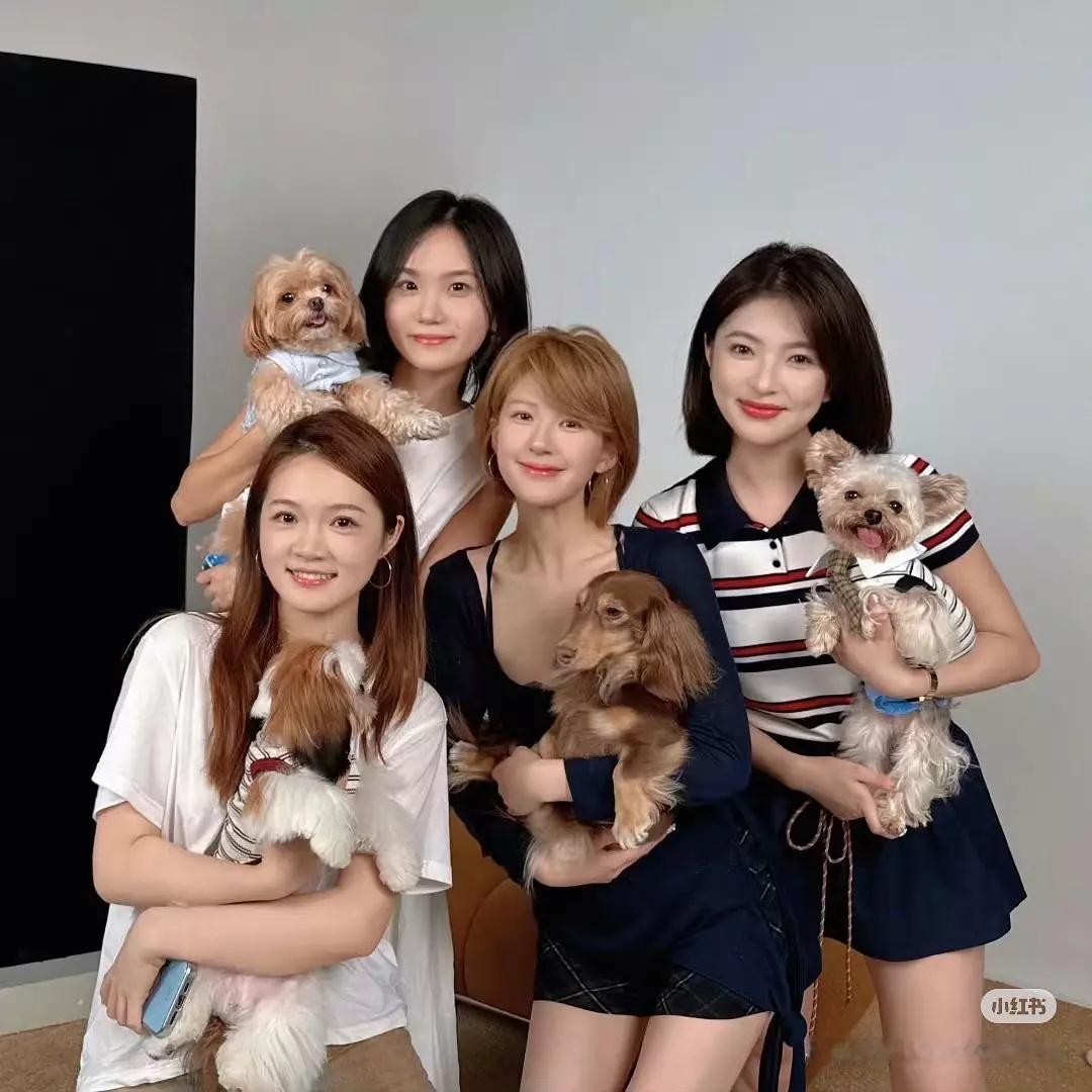 搞不懂肉为什么非要和网红混在一起，网红圈那群人为了流量和话题什么都干得出来，厮混