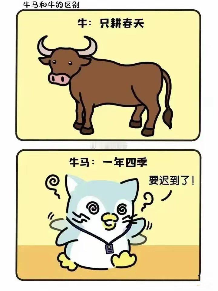 牛马和牛的区别