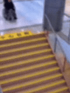 看到这个视频你会想到什么？百因必有果，你觉得呢？