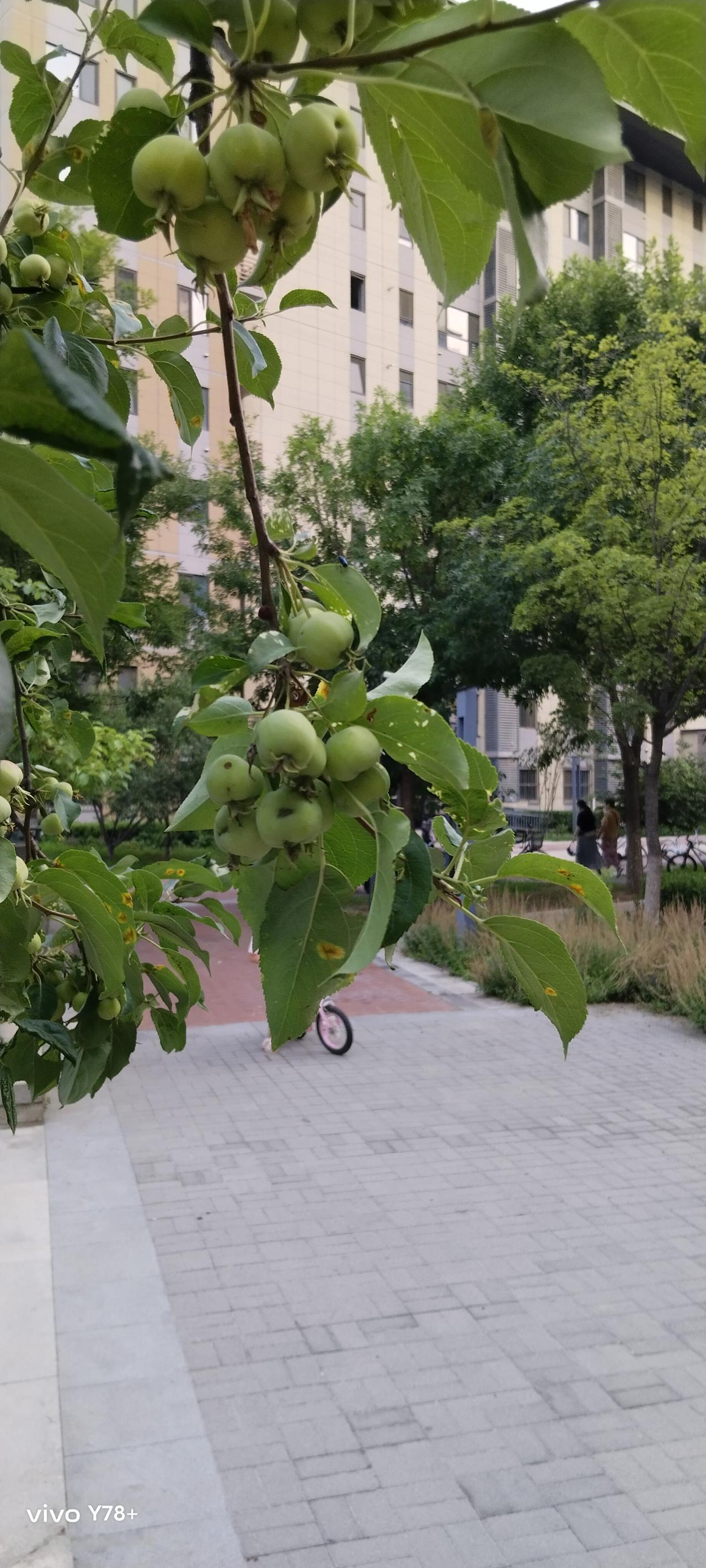 12月8日，我们一行26人从临东乘坐大巴车，浩浩荡荡的去临沂市临沭县曹洼大集赶集