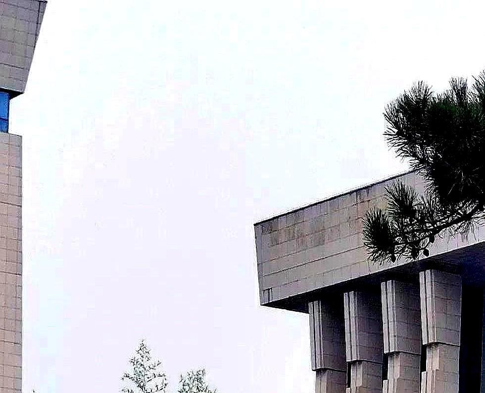老公的外甥女学习顶呱呱，头年高考上了广州大学，嫌不过瘾又复读，第二年真考进复旦了