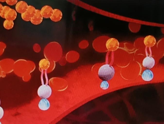 最近好多人都在找清血管、通血栓的妙招。有人说黑木耳是“血管清道夫”，2024年美