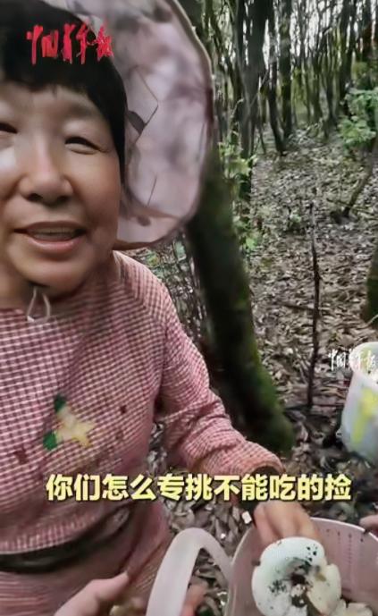“伤害性不大，侮辱性极强！”云南，两名游客上山捡菌子，偶遇一位当地阿姨，就让阿姨