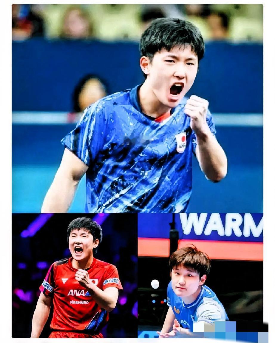 4比0，剃了个光头！这不仅是输球，简直是被张本智和icon按在地上摩擦。看着