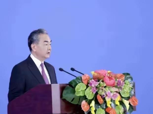 就在刚刚，外交部表态外交表态的分量在今天的台海局势中尤为突出。王毅外长明确表示