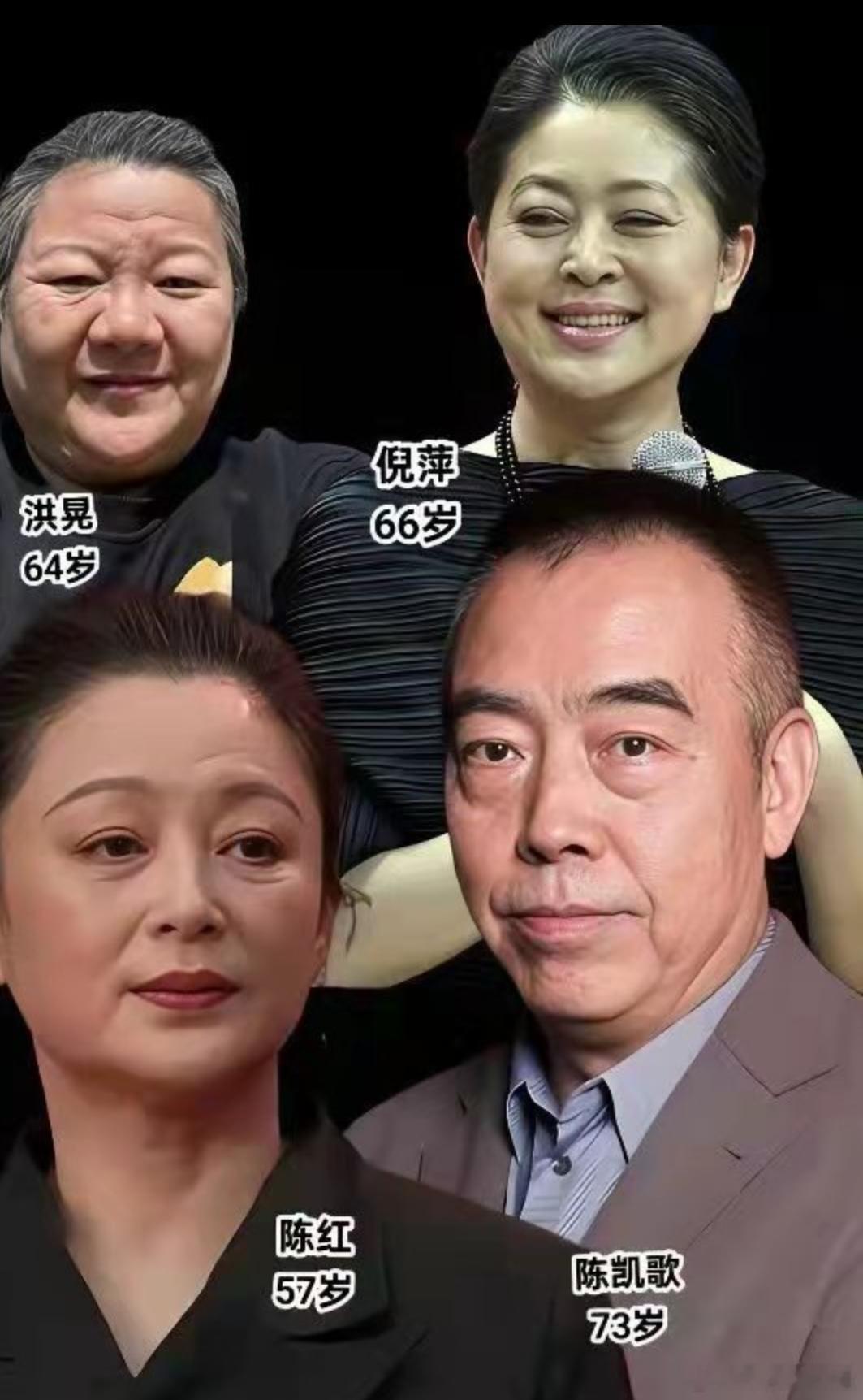 陈导背后的女人，不是高颜值就是高智商