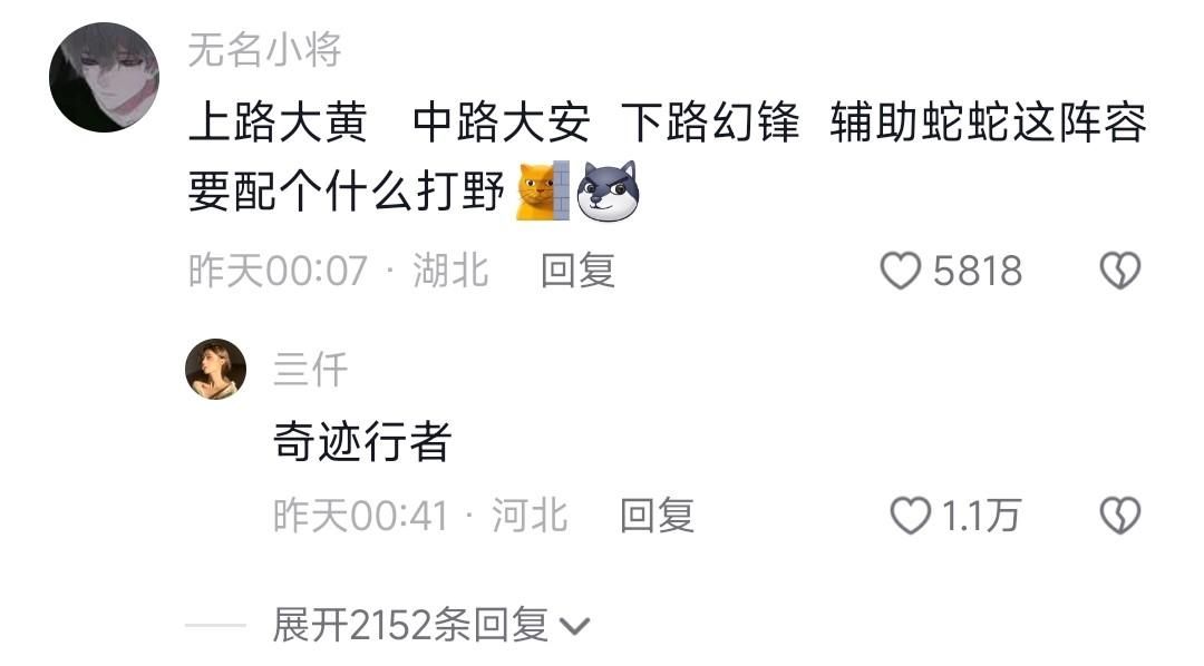 如果上单大黄中单大安, AD幻峰辅助蛇蛇, 谁打野? 网友: 奇迹行者