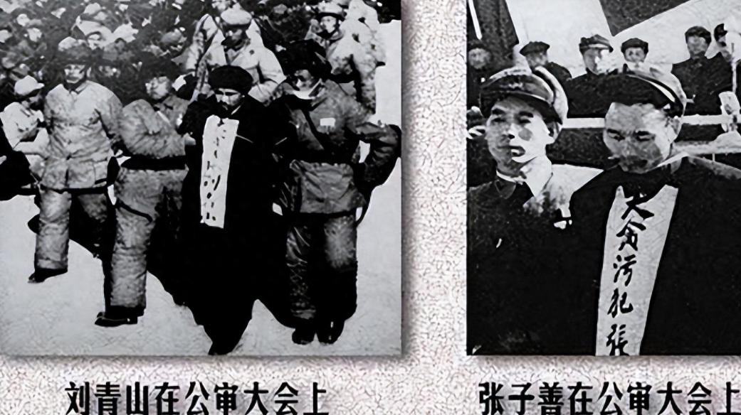 刘青山和张子善一起贪污171.6亿旧人民币，放到现在能值多少钱？开国第一贪到