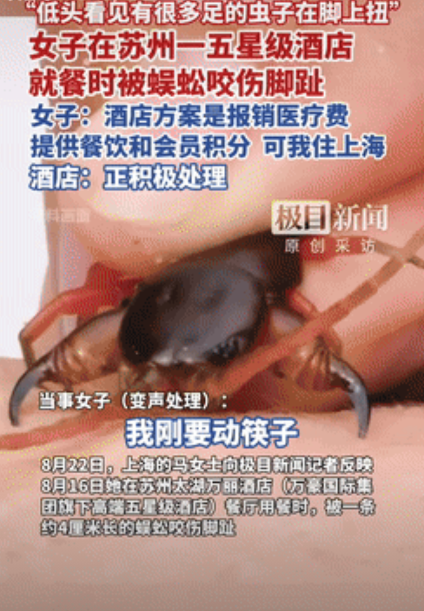 真够吓人的！江苏苏州，一女子在5星级酒店吃饭时，脚趾突然传来一阵刺痛，低头看去，