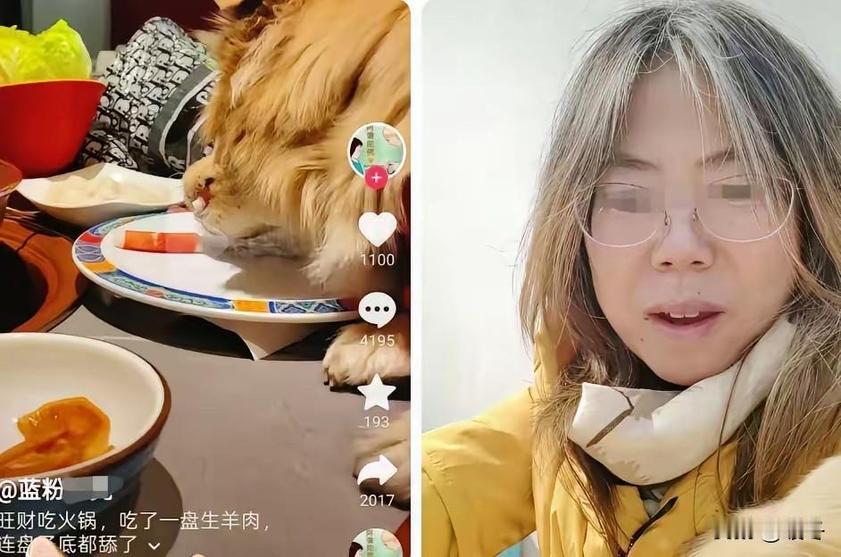 近日，一则“女子带狗上桌吃涮肉”的新闻在社交媒体掀起轩然大波。北京某火锅店内，一