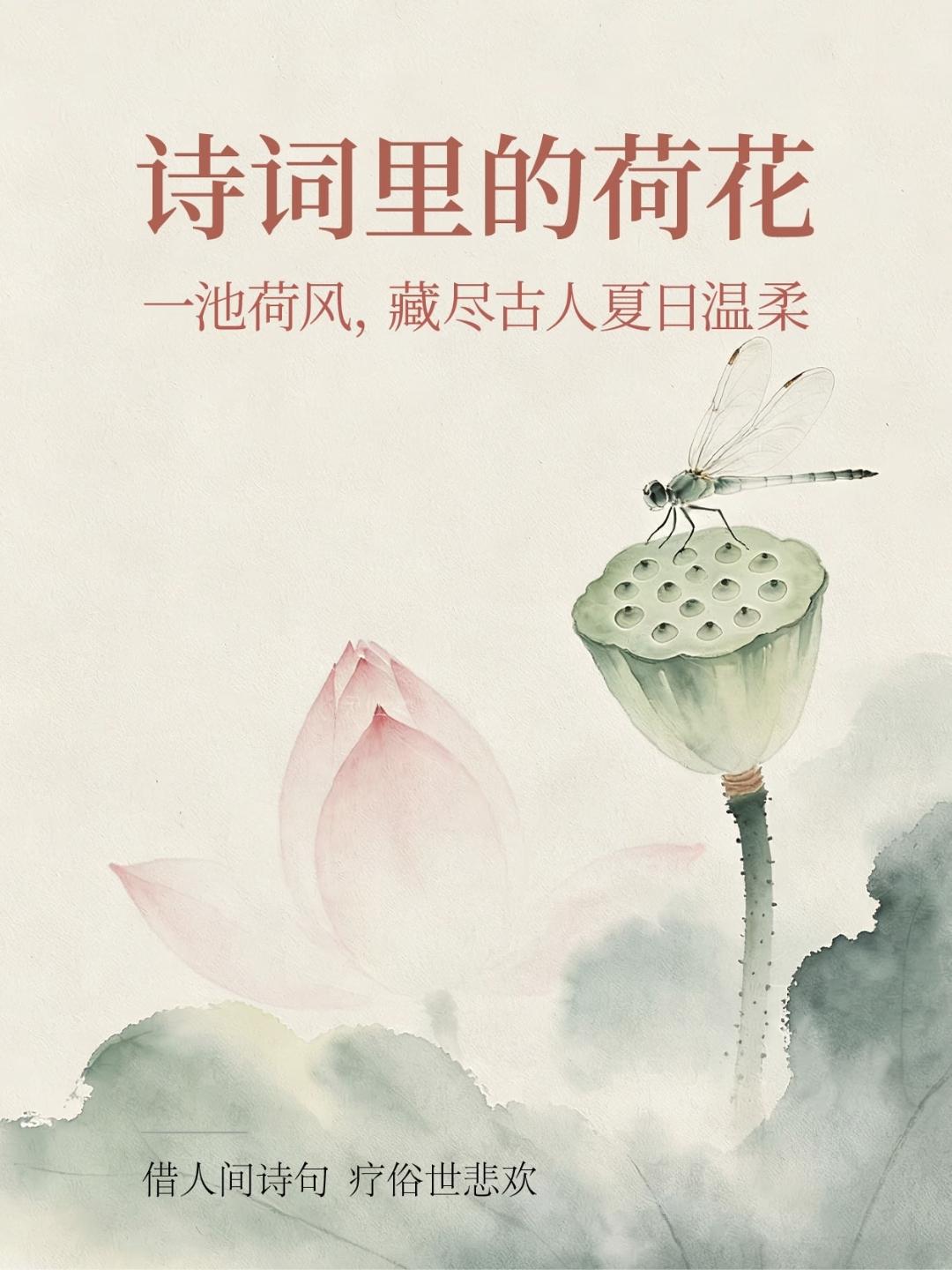 6首荷花古诗词，邀君共赏~诗词里的荷花，一池荷风，藏尽古人夏日温柔~
