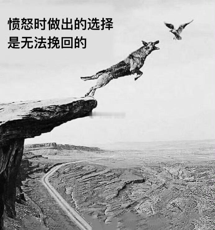 愤怒时做出的选择是无法挽回的