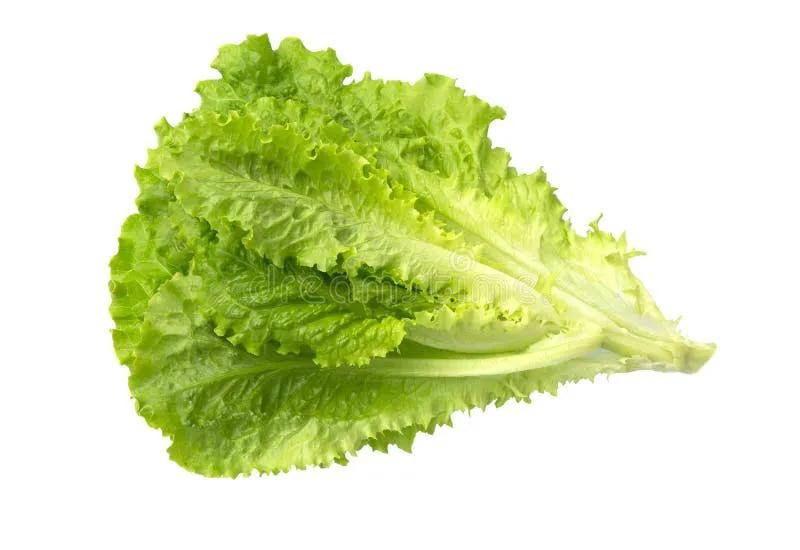 人人吹捧的生菜降糖，到底是救命土方还是害人误区？最近两年，高血糖、血糖不稳的