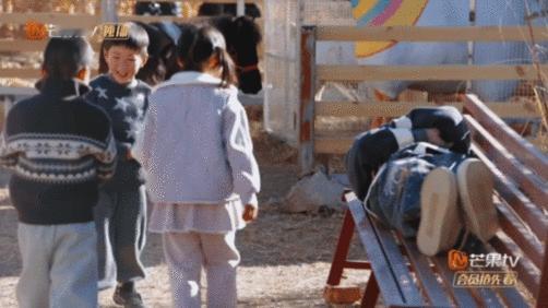 陈楚生介里不许猫睡觉陈楚生简直是猫猫午睡的“天敌”！带着小观光团一来，猫猫直接