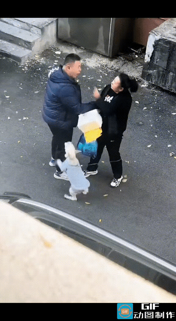 牵狗女子和男子发生口角，在相互拉扯中，男子情绪失控，突然抬手打了女子一下。令人吃