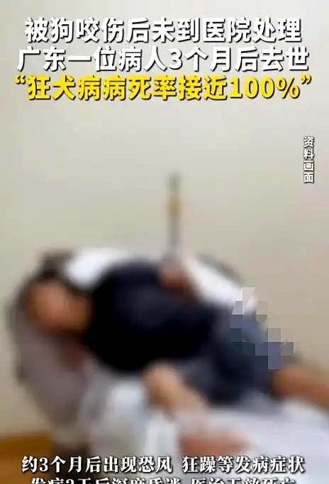 近期，广东一男的被狗咬了，小腿出血，狗主人道歉，他说小伤口不用打疫苗。这个