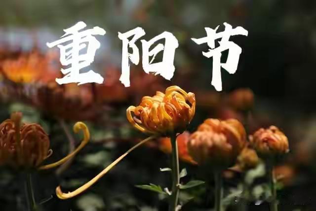 “不怕重阳阴，就怕重阳晴”，今日重阳，为啥怕晴天？看老人咋说今天是2023年