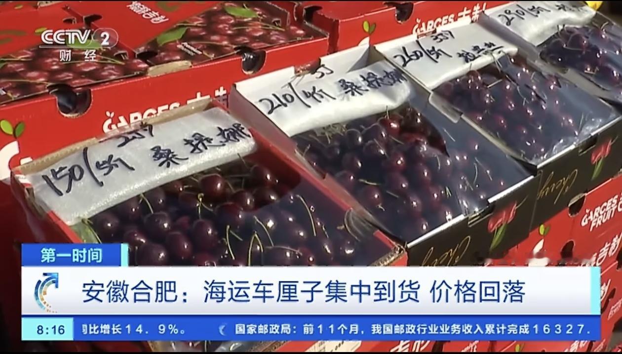 最近合肥的水果市场可热闹了，车厘子这个“贵族水果”突然火速降价，成了大家茶余饭后