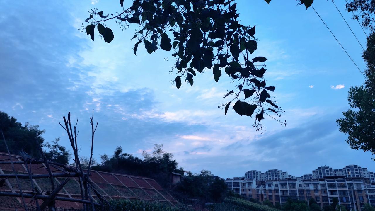 自然风景图片分享夕阳无限好，只是近黄昏！分享一张美丽的风景照