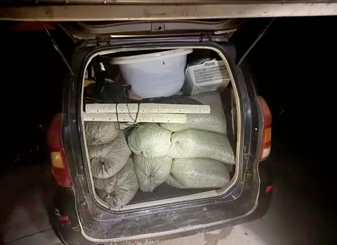 离谱！一晚摸34袋螺蛳超1吨，俩男子直接被刑拘[笑着哭]不少人觉得下河摸螺蛳