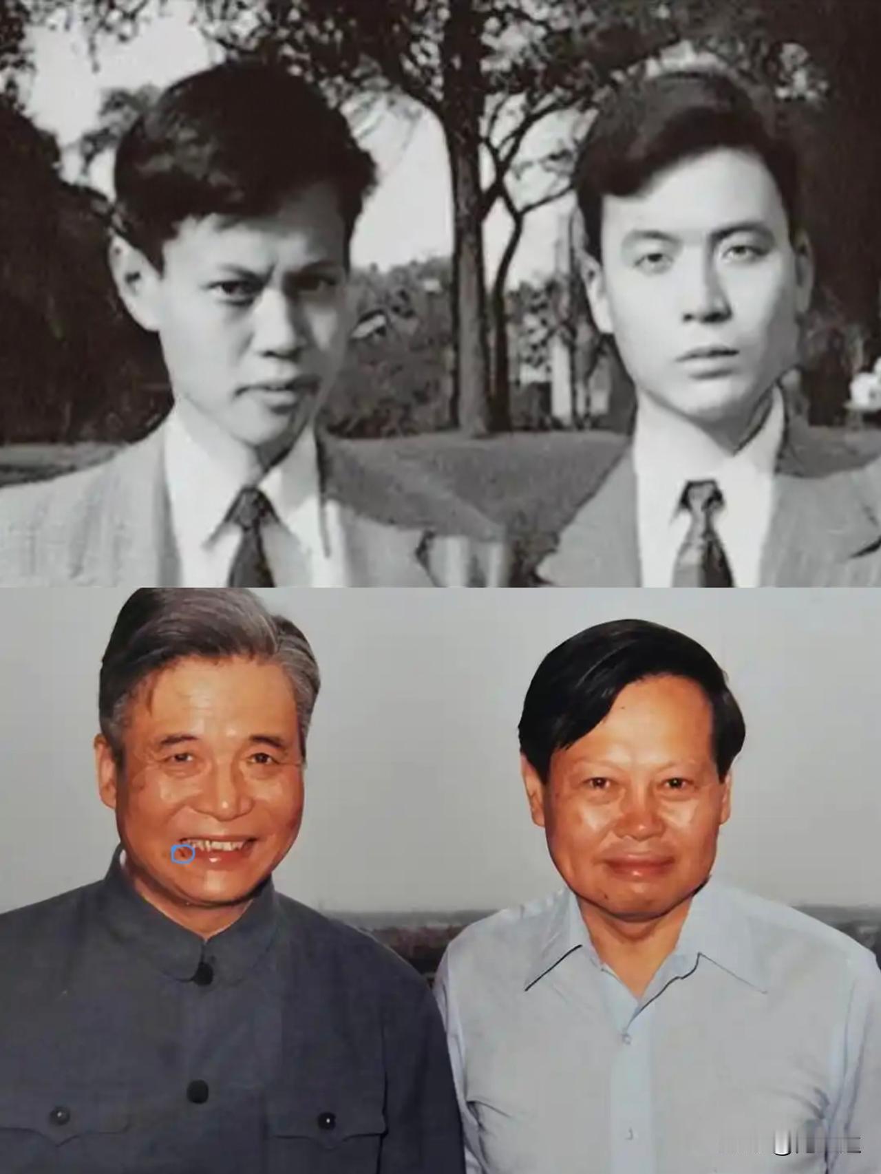 杨老走了，现在再看当年邓老写给他那句“但愿人长久，千里共同途。”泪水还是会打
