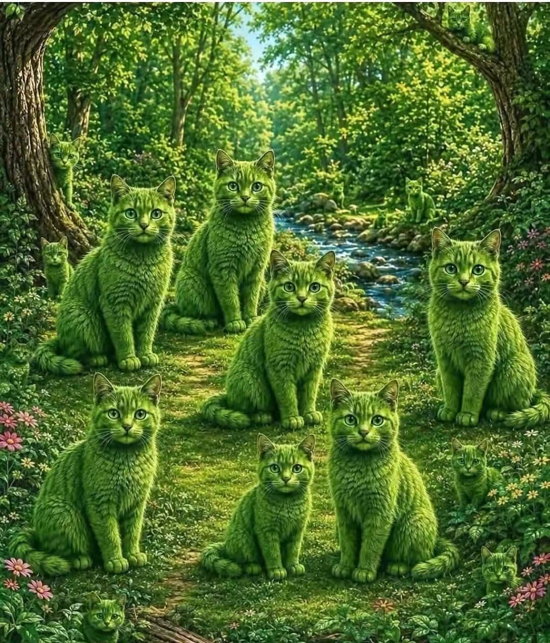 第一眼看有多少只猫，再细看又有多少猫？