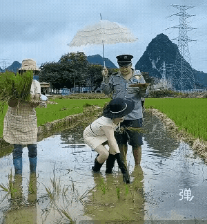 不得不说，这样的网红，以后越来越多了！