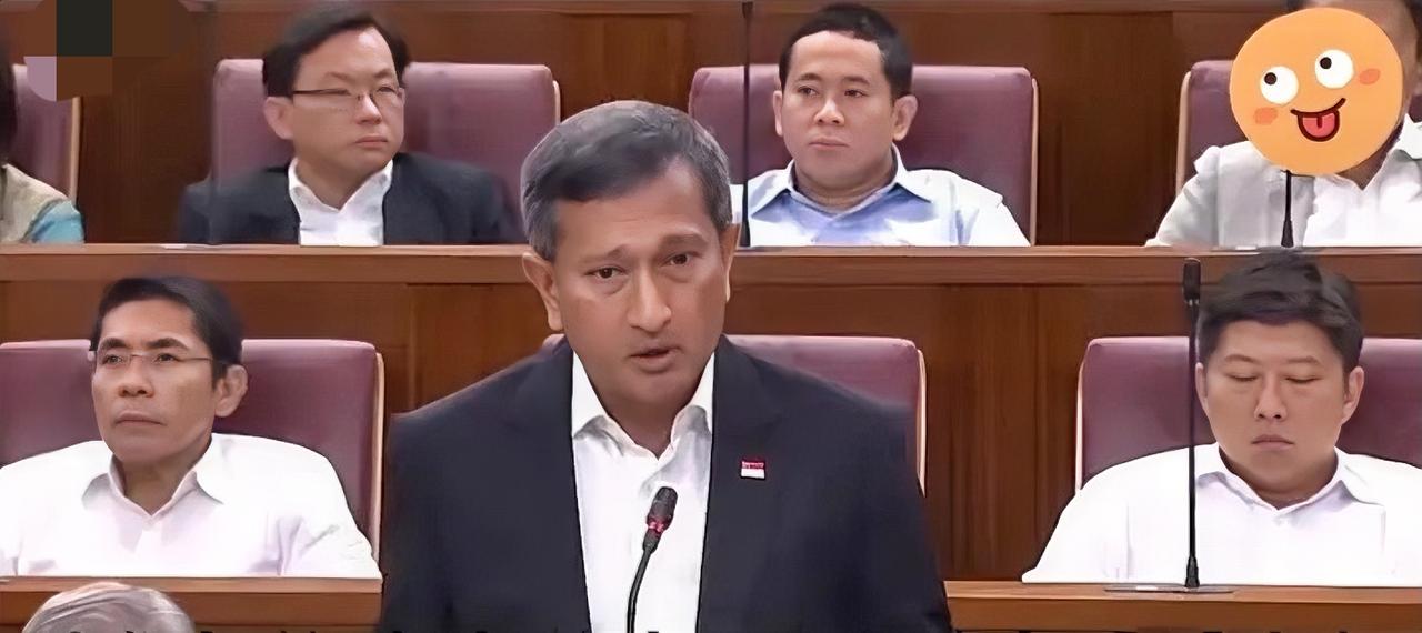 这一次新加坡彻底坐不住了！新加坡外长维文公开对中国喊话，希望中国能对新加坡网开一