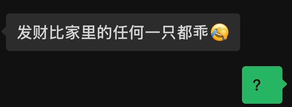 这个“？”笑死我了哈哈哈哈哈哈哈