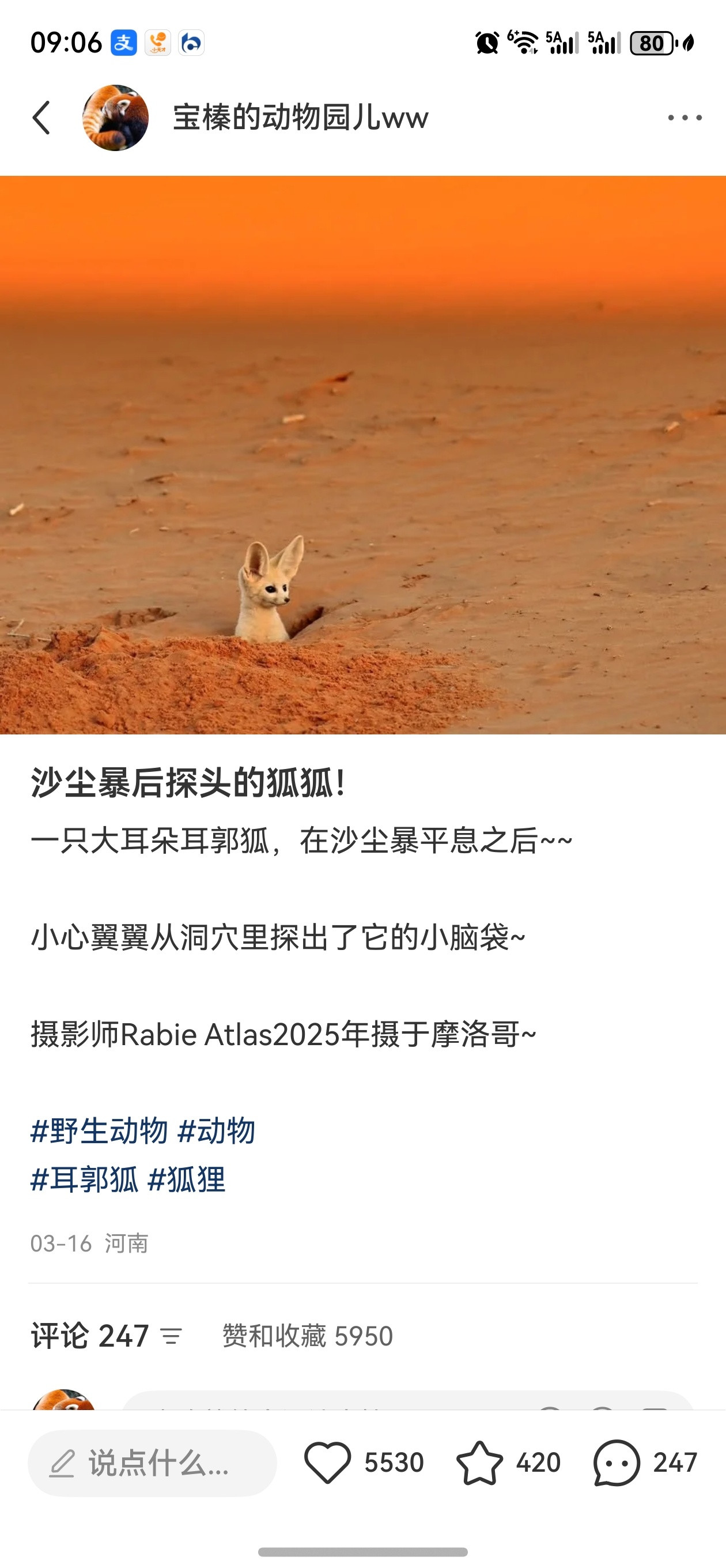 小地瓜有个奇怪的人（已删除，特地来留言批判我的回复说:本来人家很美好一条回复，被