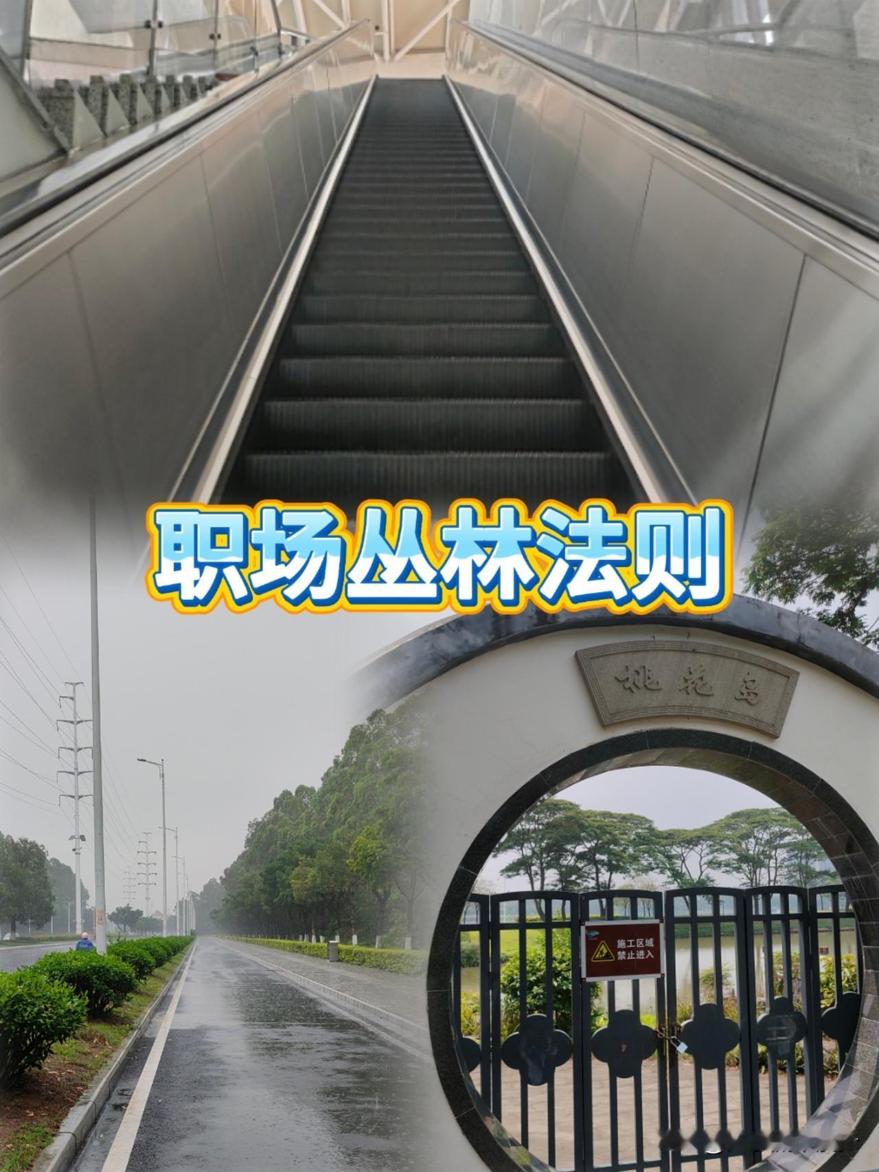 日常｜成年人的职场，从来不是二选一只会埋头苦干的人，往往干着干着就被边缘化了；