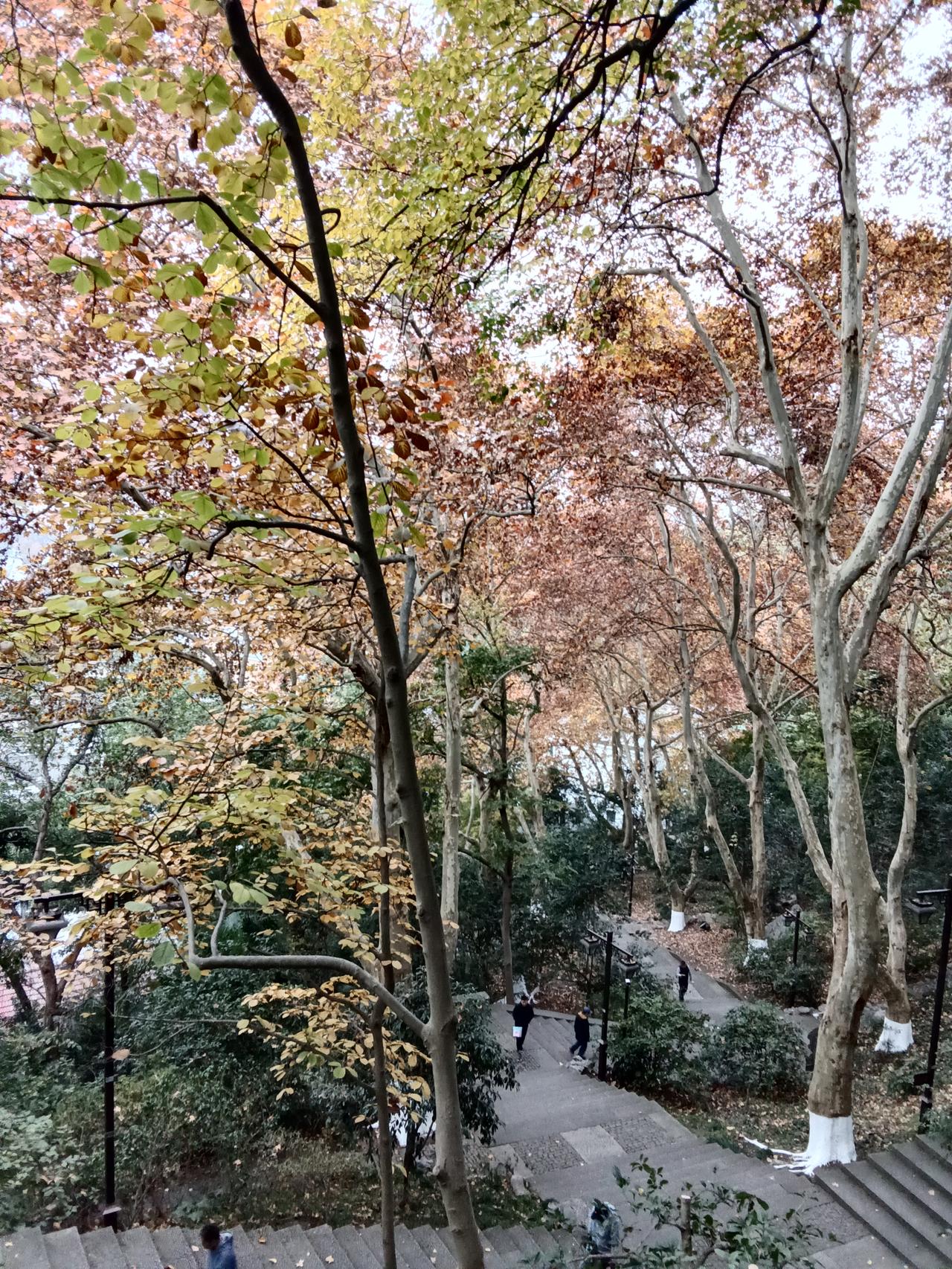分享手机里随手拍的风景照片