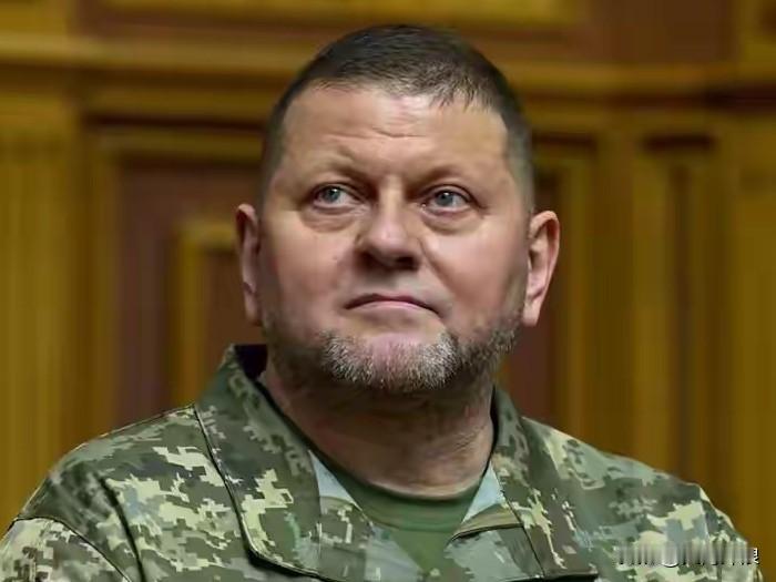 乌军前总司令扎卢日内：乌克兰后果很严重！刚刚，乌克兰前武装部队总司令扎卢日内