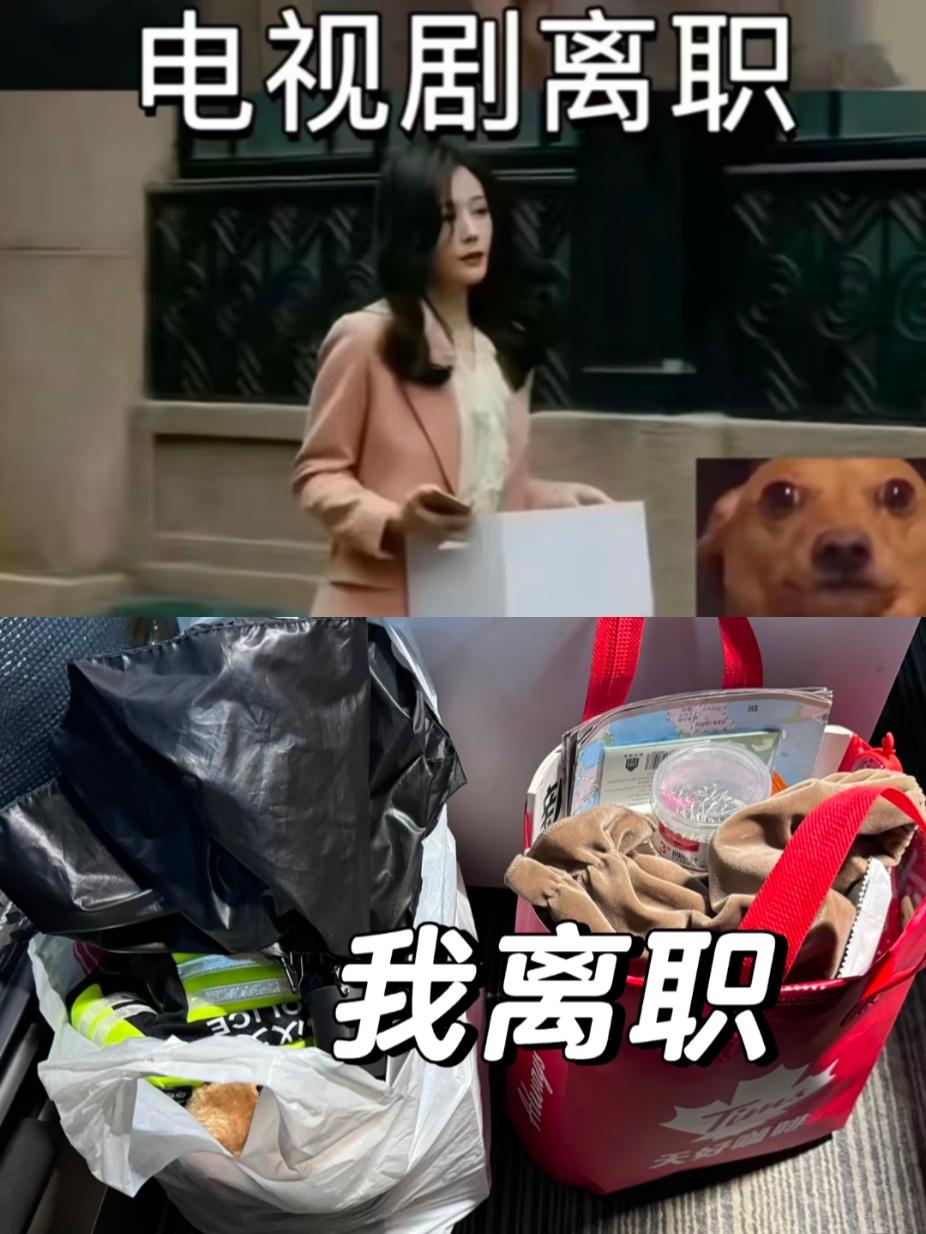 想要一个评论区全是离职的照片。我就不明白了，到底是哪家公司的员工，能像电视剧