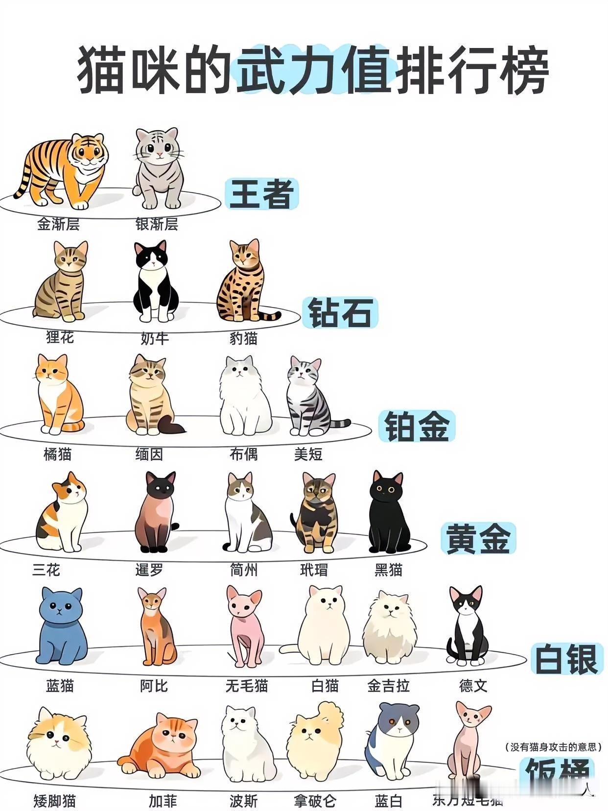 猫的武力值排行榜
