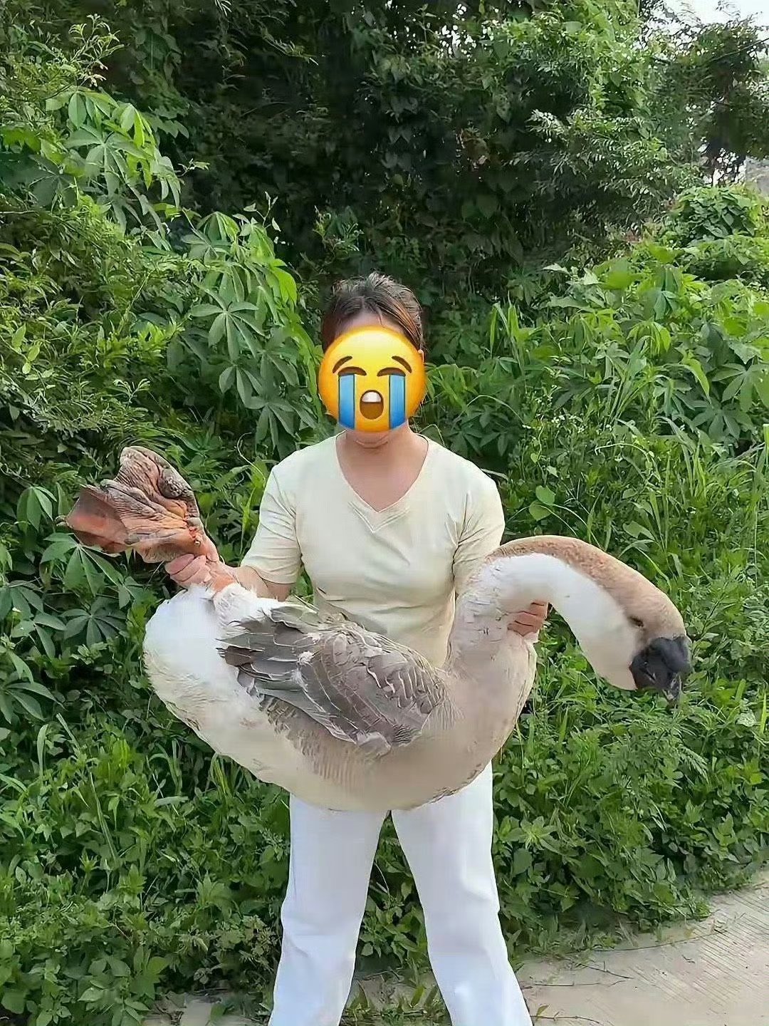 这得是养了多久啊
