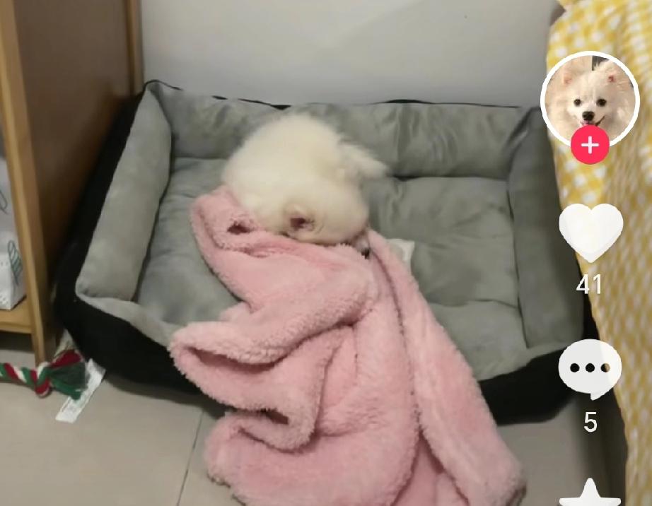 麻将桌上的失控：隔代监护不能失守安全底线四川奶奶因打麻将上头，将9个月大的