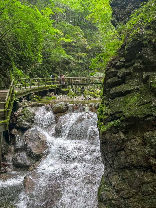 西安出发1,5h🌿体感20°秦岭避暑天花板！