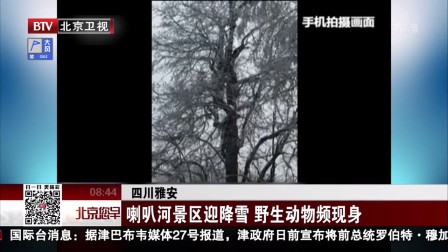 新一轮降雪过程来临 市民出行注意安全[北京新
