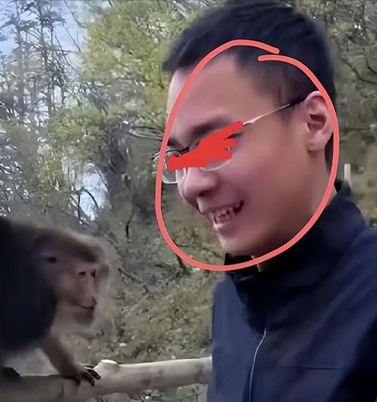 太解气了！峨眉山黑衣金丝眼镜男，恶意推搡猴子后大笑，后续处罚结果来了。5月4